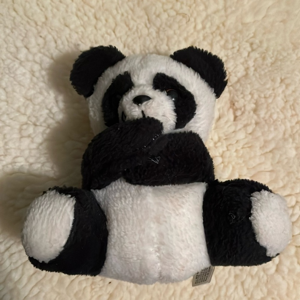 Hipoint Knitting Inc Black & White Teddy Bear